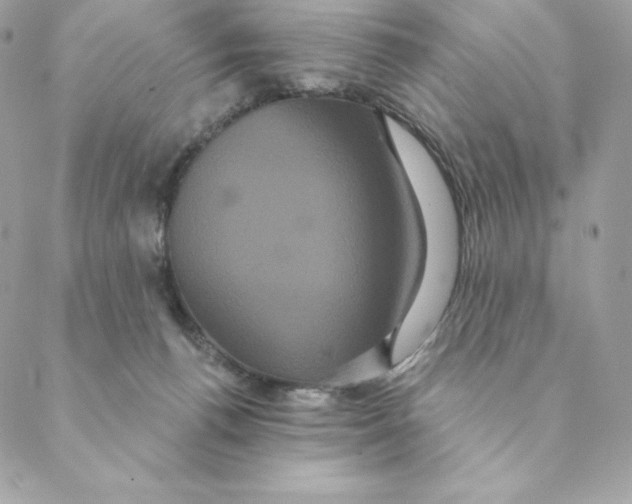 X0000088590176200706151745