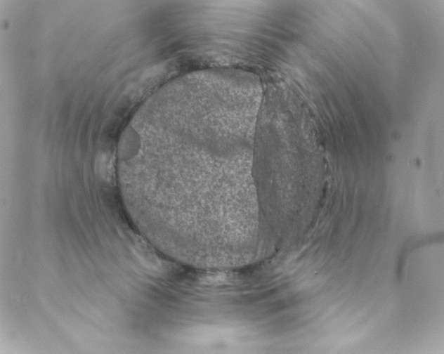 X0000088590177200706151745