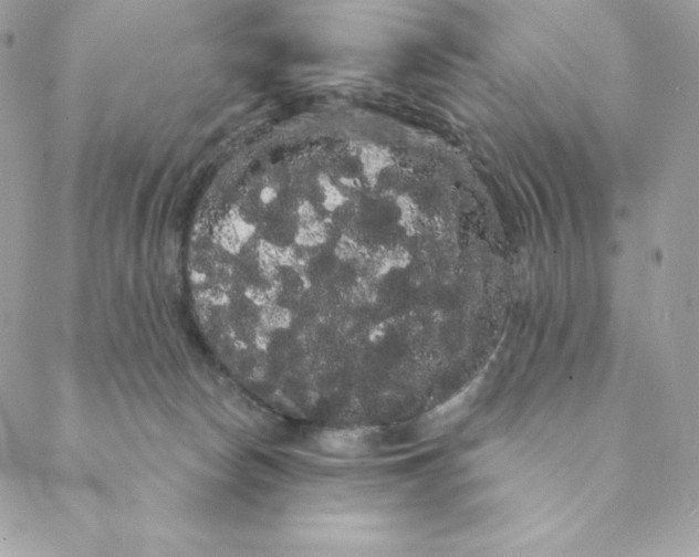 X0000088590178200706151745