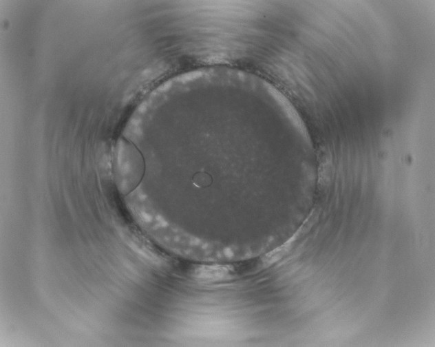 X0000088590179200706151745