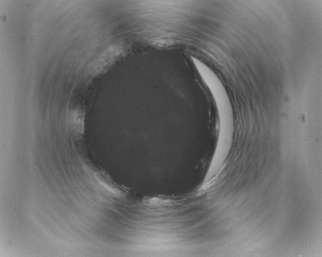 X0000088590180200706151745