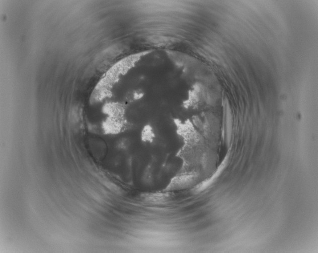 X0000088590182200706151745