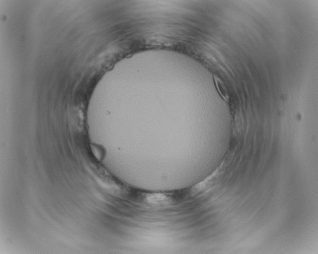 X0000088590183200706151745