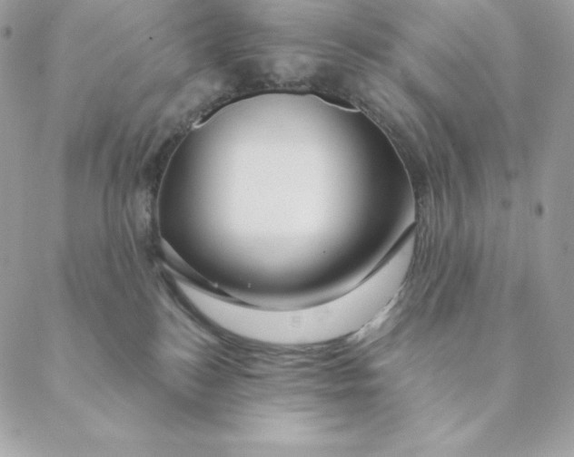 X0000088590184200706151745