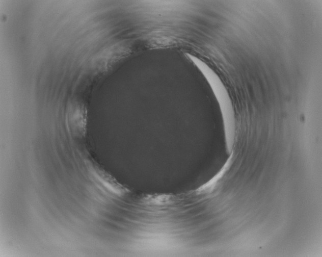 X0000088590186200706151745