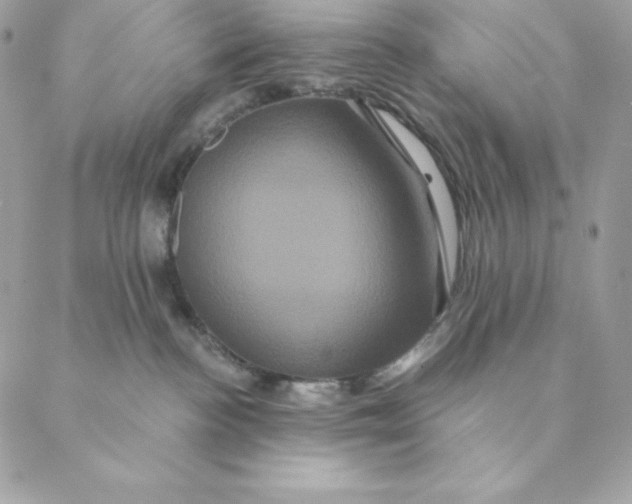 X0000088590188200706151745