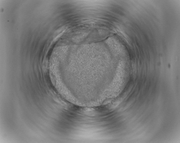 X0000088590189200706151745