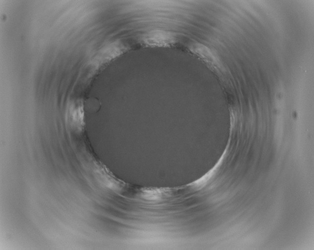 X0000088590190200706151745