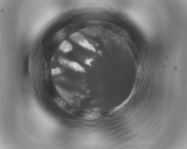 X0000088590191200706151746