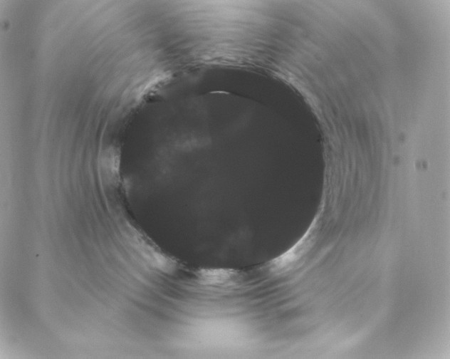 X0000088590192200706151746