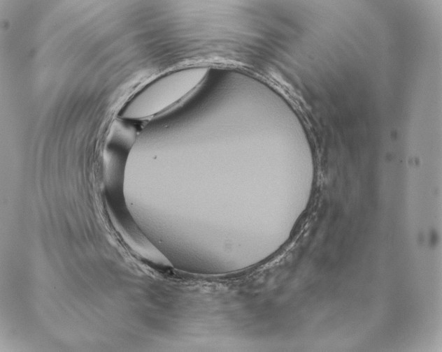 X0000088590193200706151745