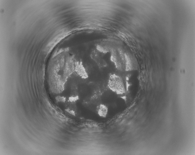 X0000088590194200706151745