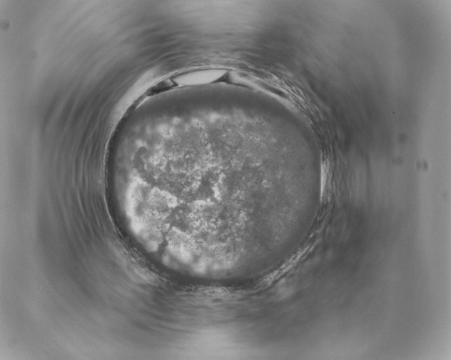 X0000088590195200706151745