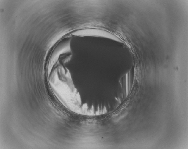 X0000088590196200706151745