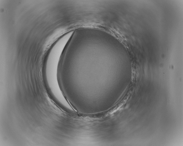 X0000088590197200706151745