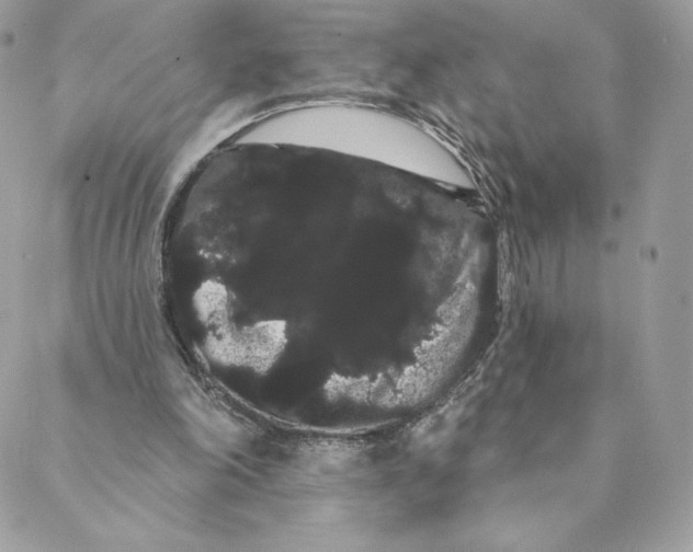 X0000088590198200706151745