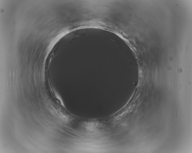 X0000088590200200706151745