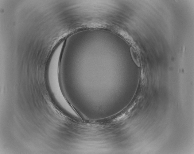 X0000088590201200706151745