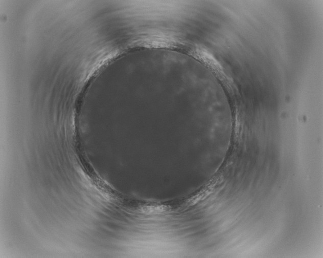 X0000088590202200706151745