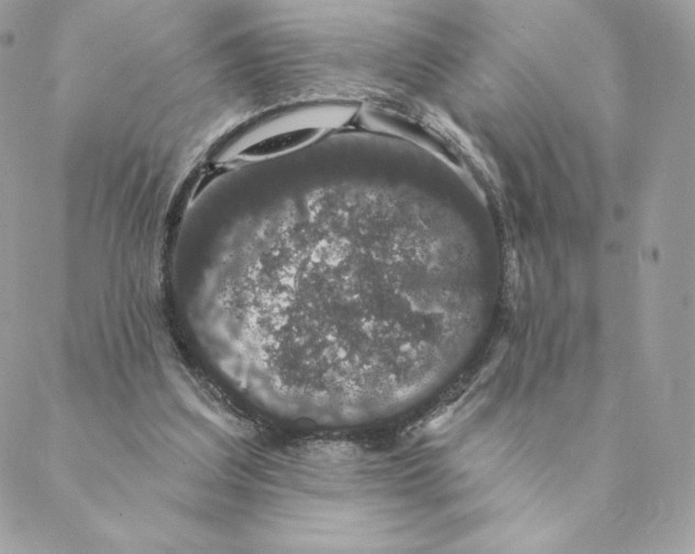 X0000088590203200706151745