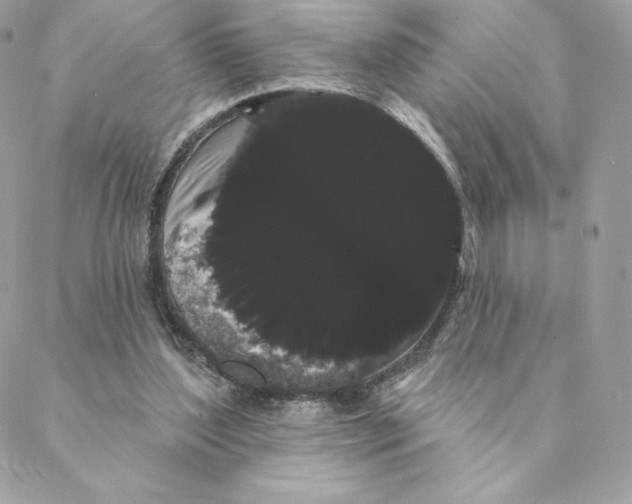 X0000088590204200706151745