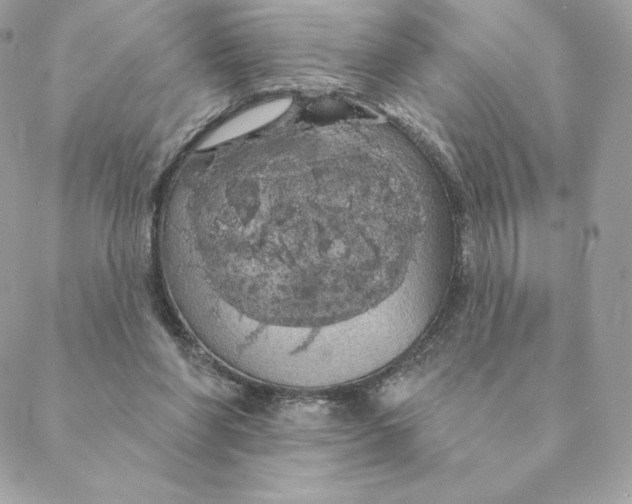 X0000088590206200706151745