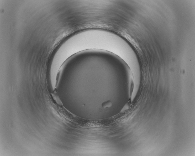 X0000088590207200706151745