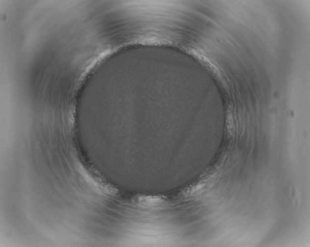 X0000088590208200706151745