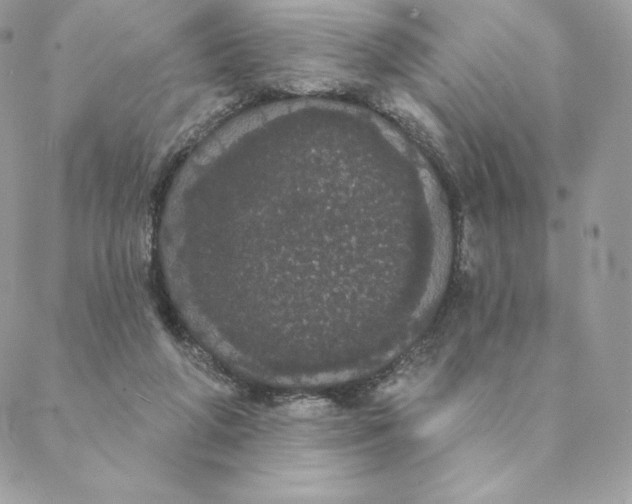 X0000088590210200706151744