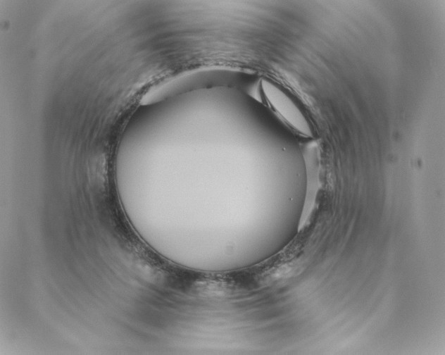 X0000088590211200706151744