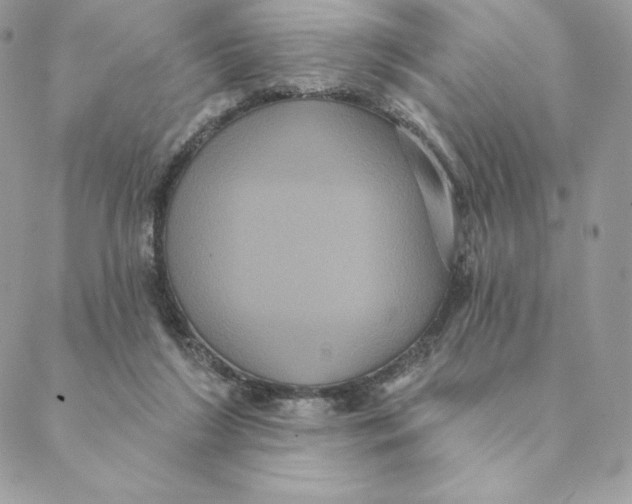 X0000088590212200706151744