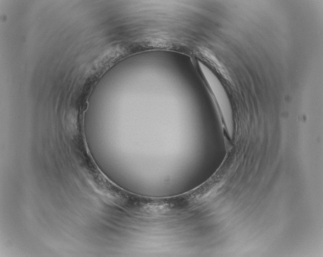 X0000088590213200706151744