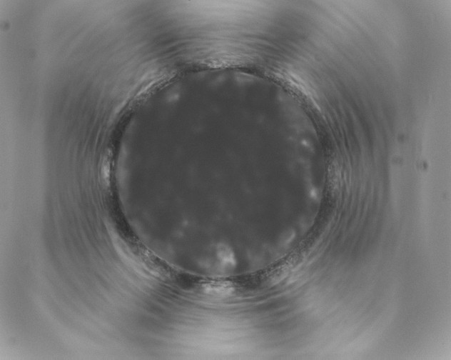 X0000088590214200706151744