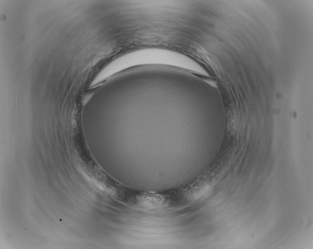 X0000088590215200706151744