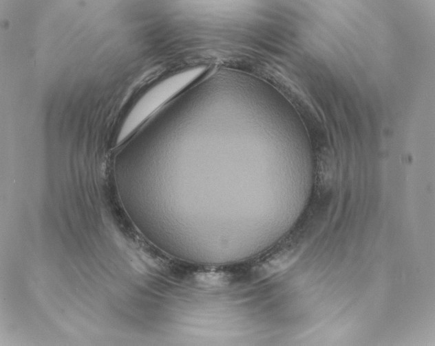 X0000088590216200706151744