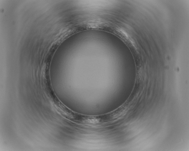 X0000088590217200706151744