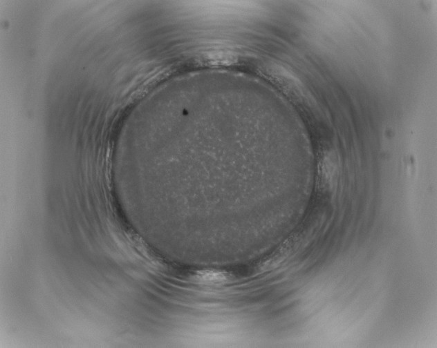 X0000088590218200706151744