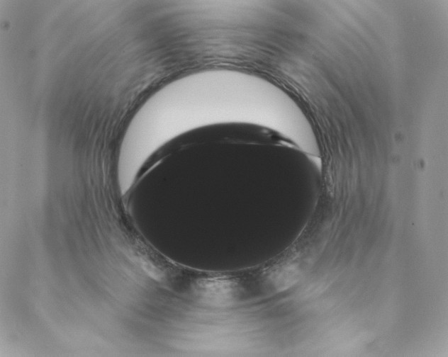 X0000088590219200706151744