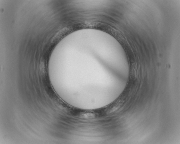 X0000088590220200706151744