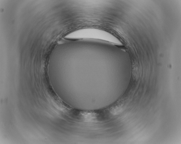 X0000088590221200706151744