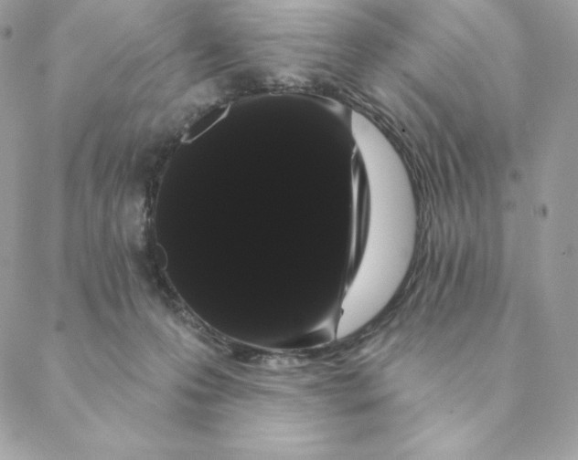 X0000088590223200706151744