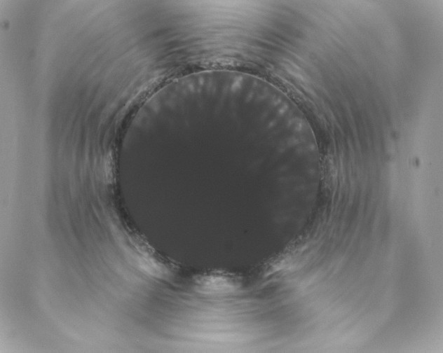 X0000088590224200706151744