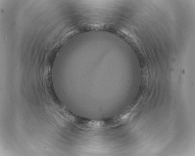 X0000088590225200706151744