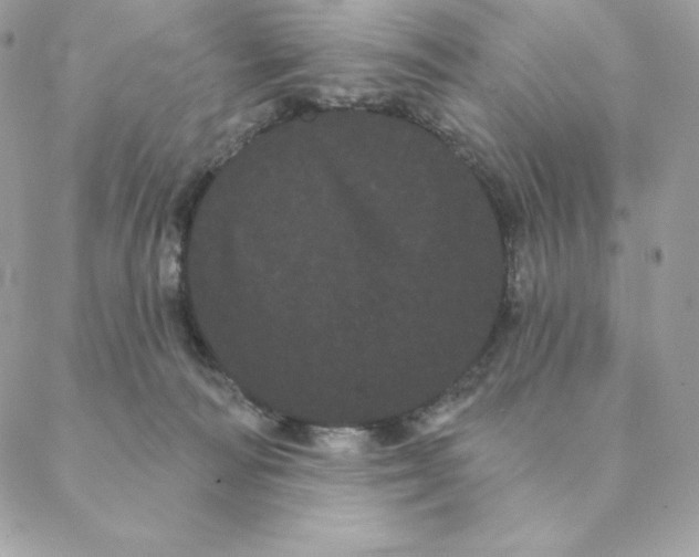 X0000088590226200706151744