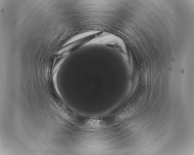 X0000088590227200706151744