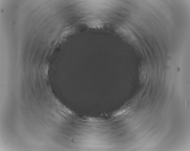 X0000088590229200706151744