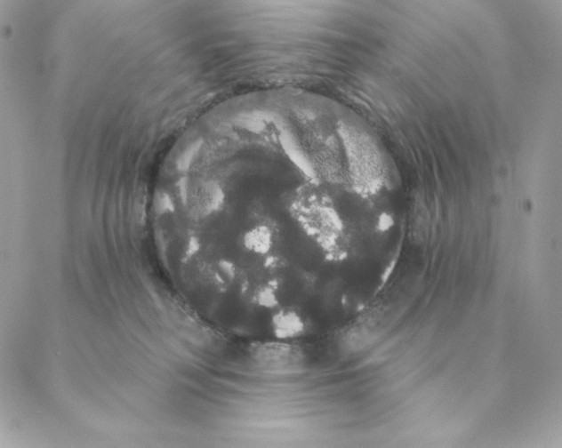 X0000088590230200706151744