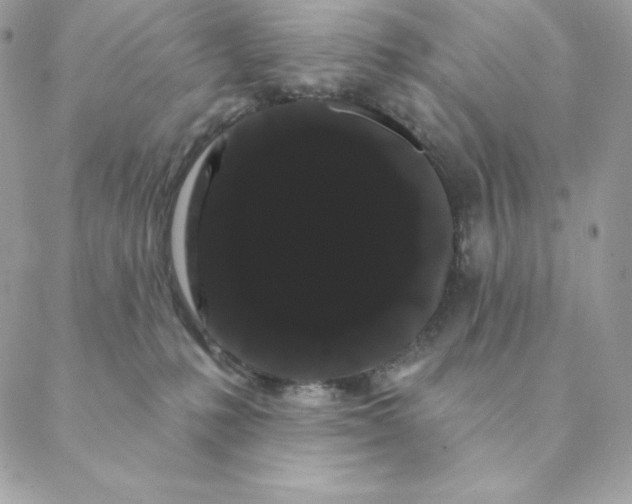 X0000088590231200706151744