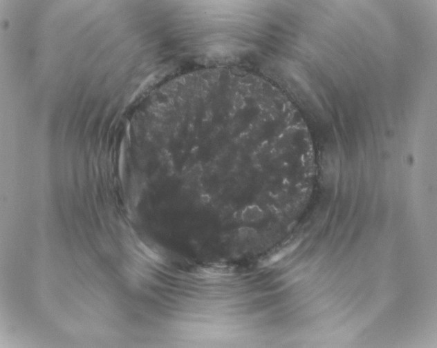 X0000088590232200706151744