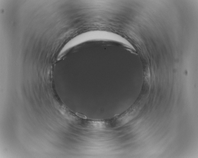 X0000088590233200706151744